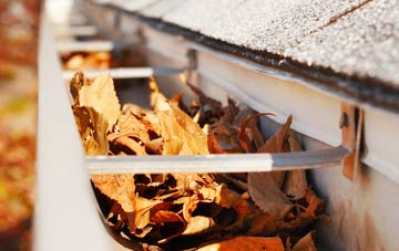 Great Eppleton gutter cleaning companies