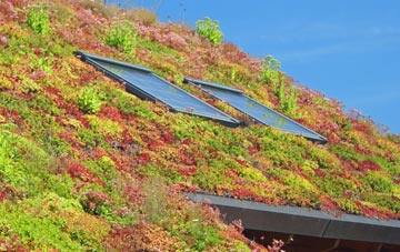 Great Eppleton living roof systems