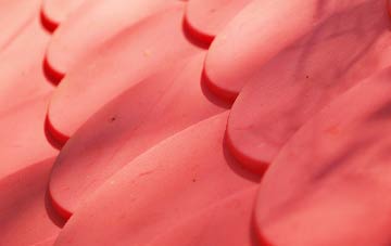 Great Eppleton plastic roof costs