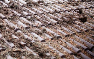 Great Eppleton roof cleaning companies